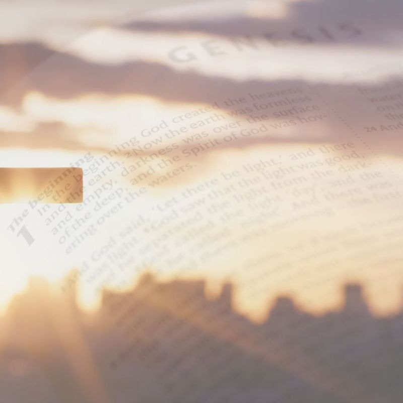 The Upward Call of God in Christ&nbsp;Jesus