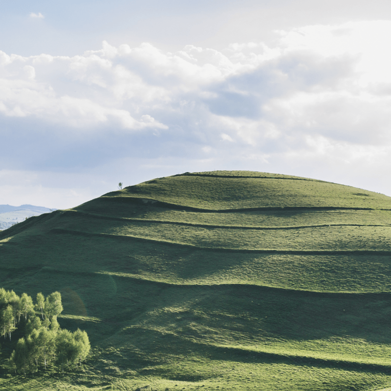 Where Does Your Help Come&nbsp;From?